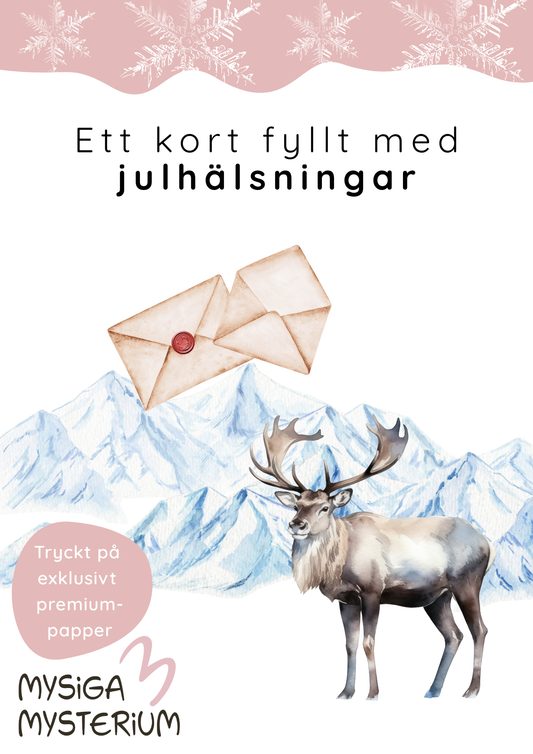 Ett kodat julkort - lyxversion