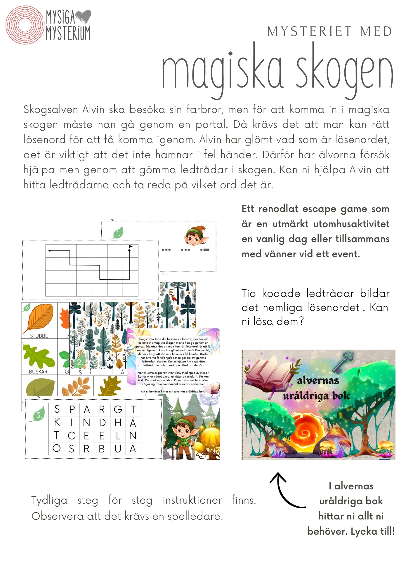 Mysteriet med magiska skogen